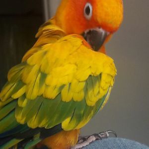 Meet your Posher, Holly